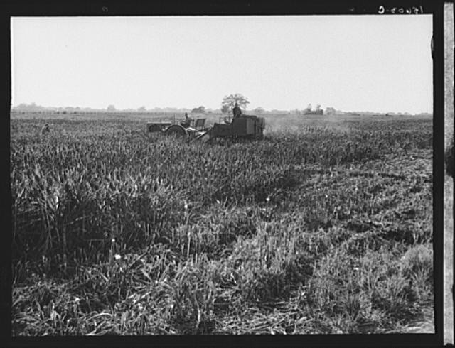 California,Tulare County,CA,Farm Security Administration,FSA,Dorothea Lange,2