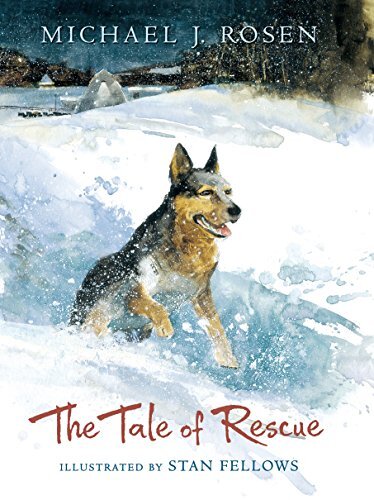 Rescue Tale by Michael J Rosen