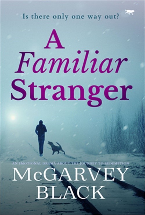 A Familiar Stranger (Paperback or Softback)