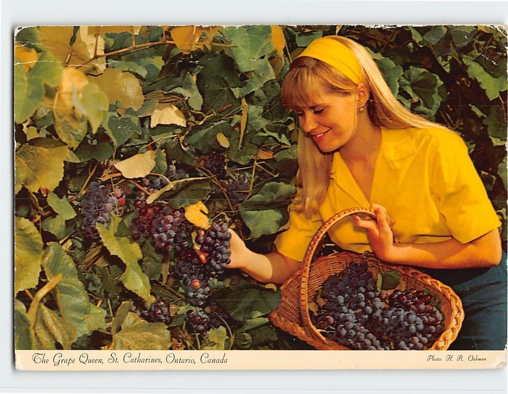 Postcard The Grape Queen St. Catharines Canada
