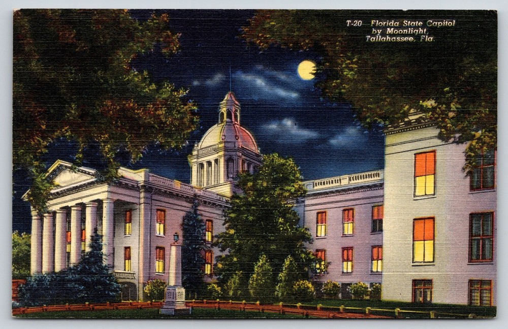 Tallahassee Florida~State Capitol Bldg~Night View~Moonlight~Portico~Linen PC