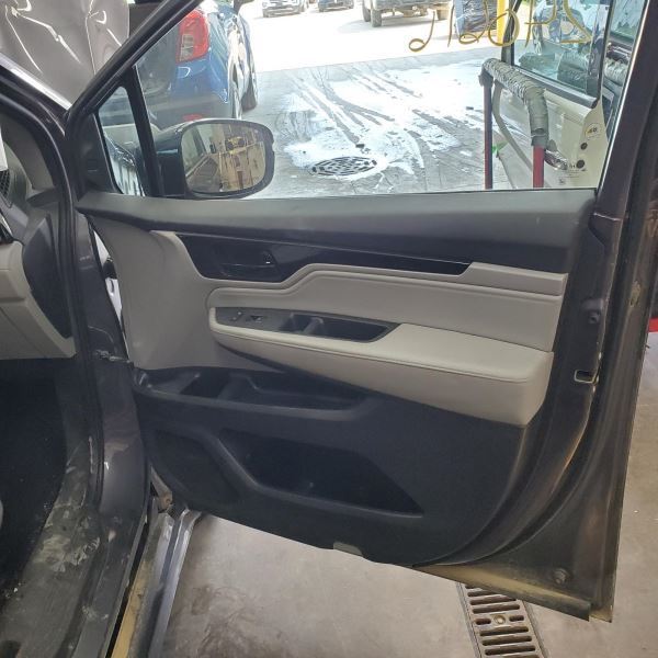 ODYSSEY   2019 Front Door Trim Panel 1017407