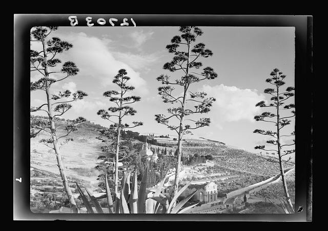 Photo:Gethsemane Jerusalem Israel 1942 View From Mount Of Olives