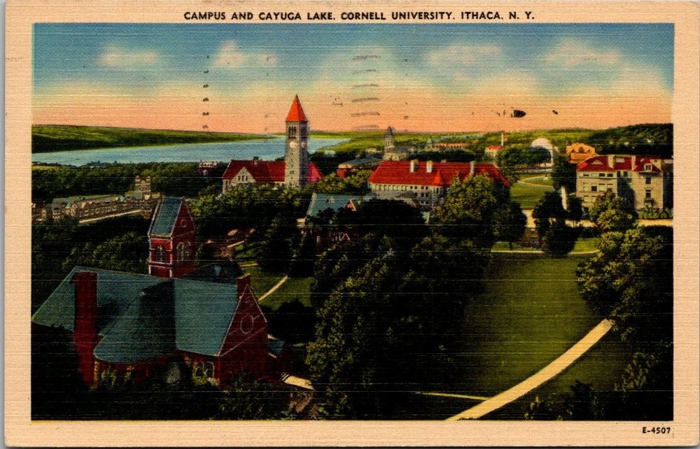 Cornell University Ithaca NY Campus Cayuga Lake 1952 Linen Postcard