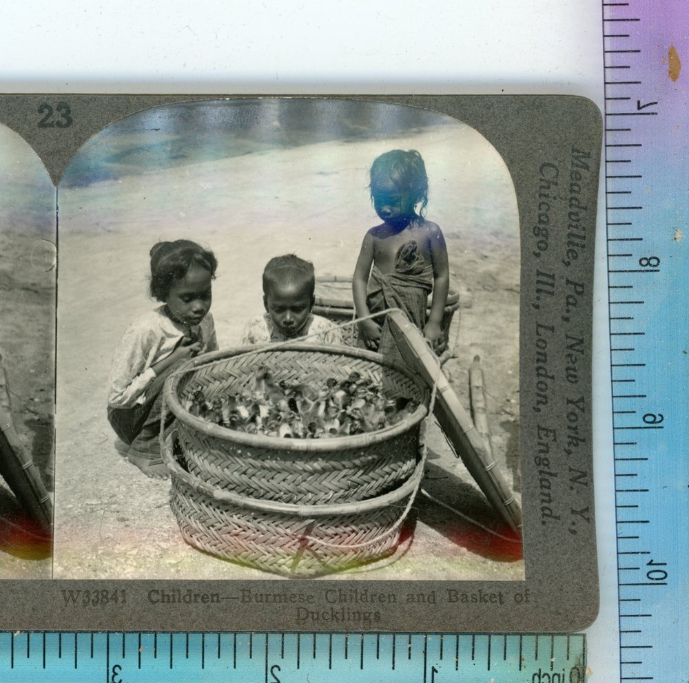 Children with Basket of Ducklings Burma Keystone Stereoview