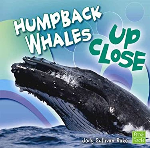 Humpback Whales up Close Library Binding Jody S. RakeFree US Delivery | ISBN:1429633379
