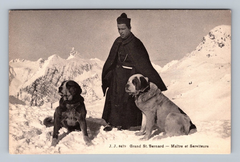 Switzerland- Two Grand St. Bernard Dogs & Their Master Old Post Vintage Postcard