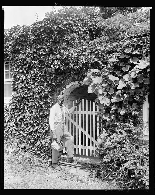 Photo:Oatlands Leesburg Virginia 1930s Man at Ivy Covered Gate