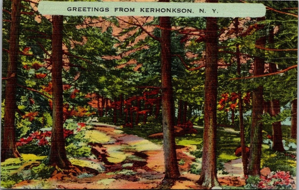 Greetings From Kerhonkson NY 1952 Linen Postcard Woodland Path Scenic View