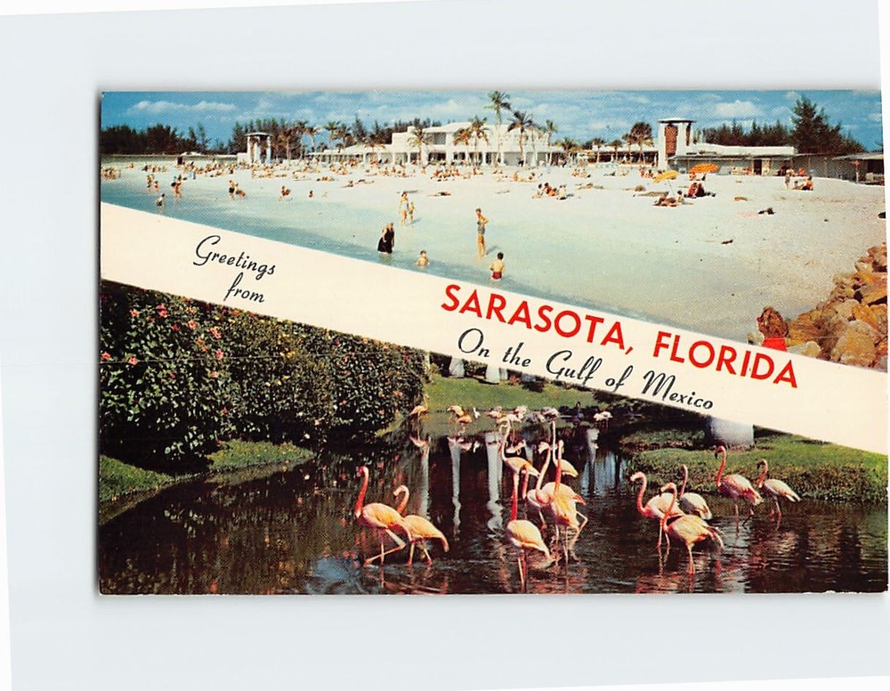 Postcard Lido Beach & Flamingos Greetings from Sarasota Florida USA