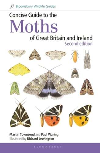 Concise Guide to the Moths of Great Britain and Ireland: Second edition: New