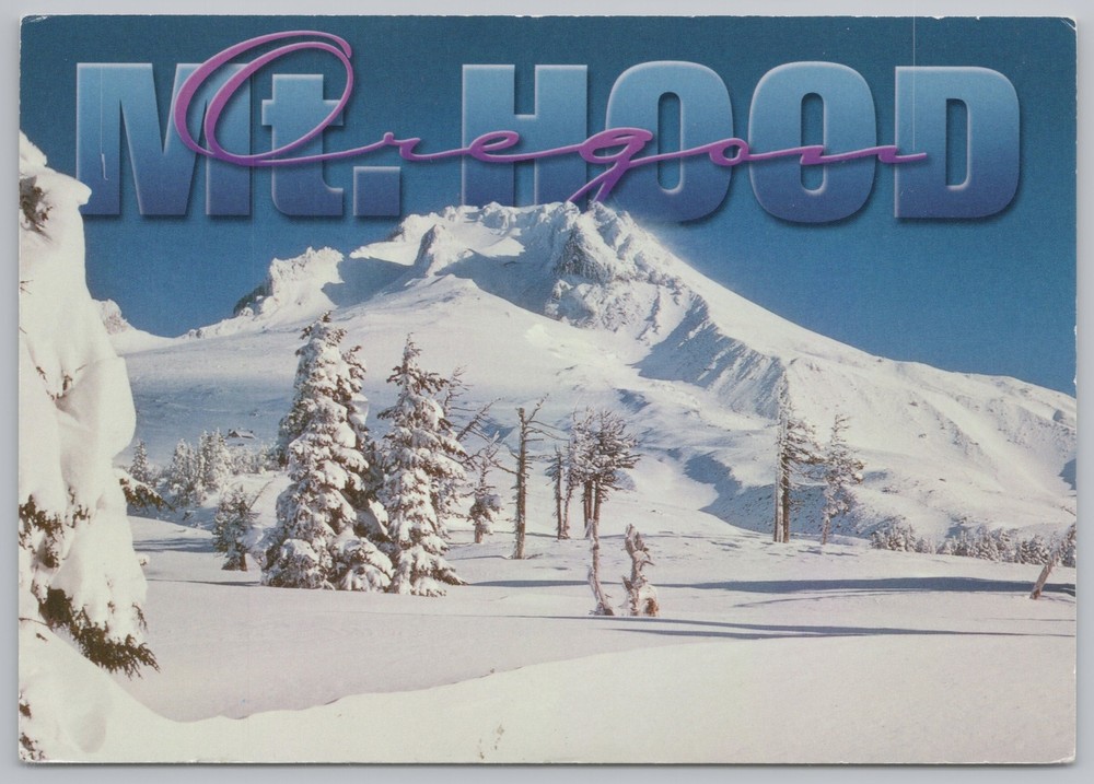 State View~Mt Hood From Below In Winter~Continental Postcard