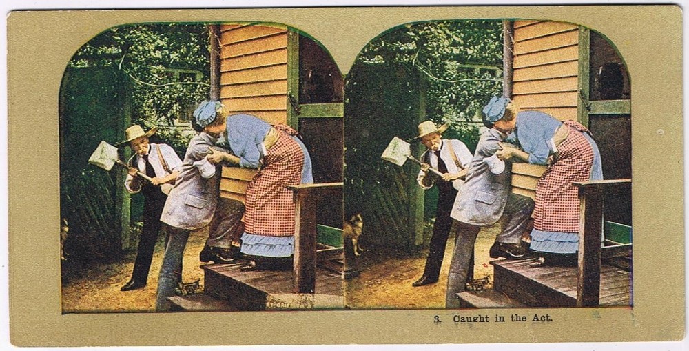 Stereo View Card Stereograph Caught In The Act