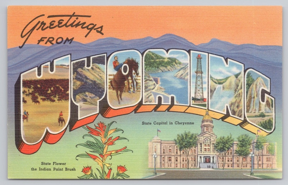 Wyoming, Large Letter Greetings, State Capitol & Flower, Vintage Postcard