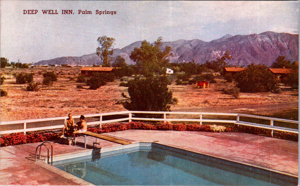 Vintage Postcard Deep Well Inn Palm Springs California Citrus Trees
