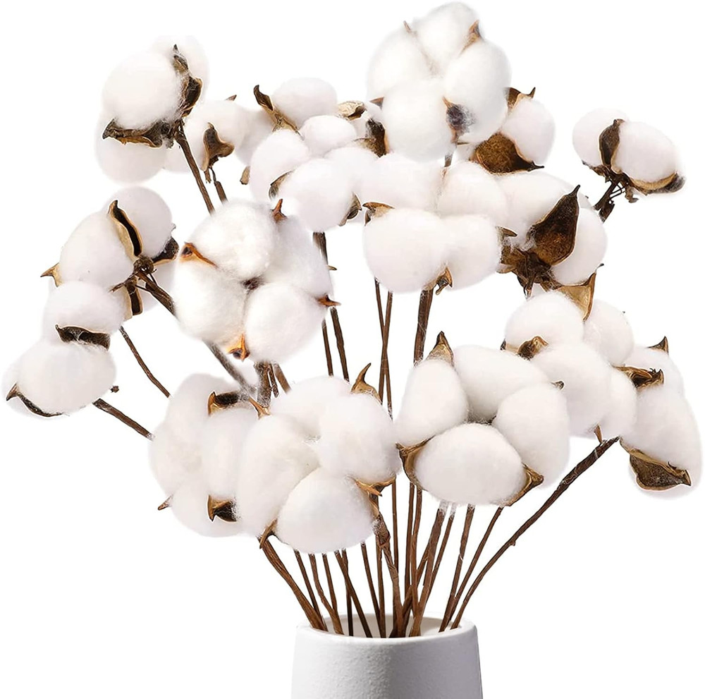 Cotton Stems 8 Packs with 15 Bolls, Natural Dried Flowers Cotton Sprigs for Vase