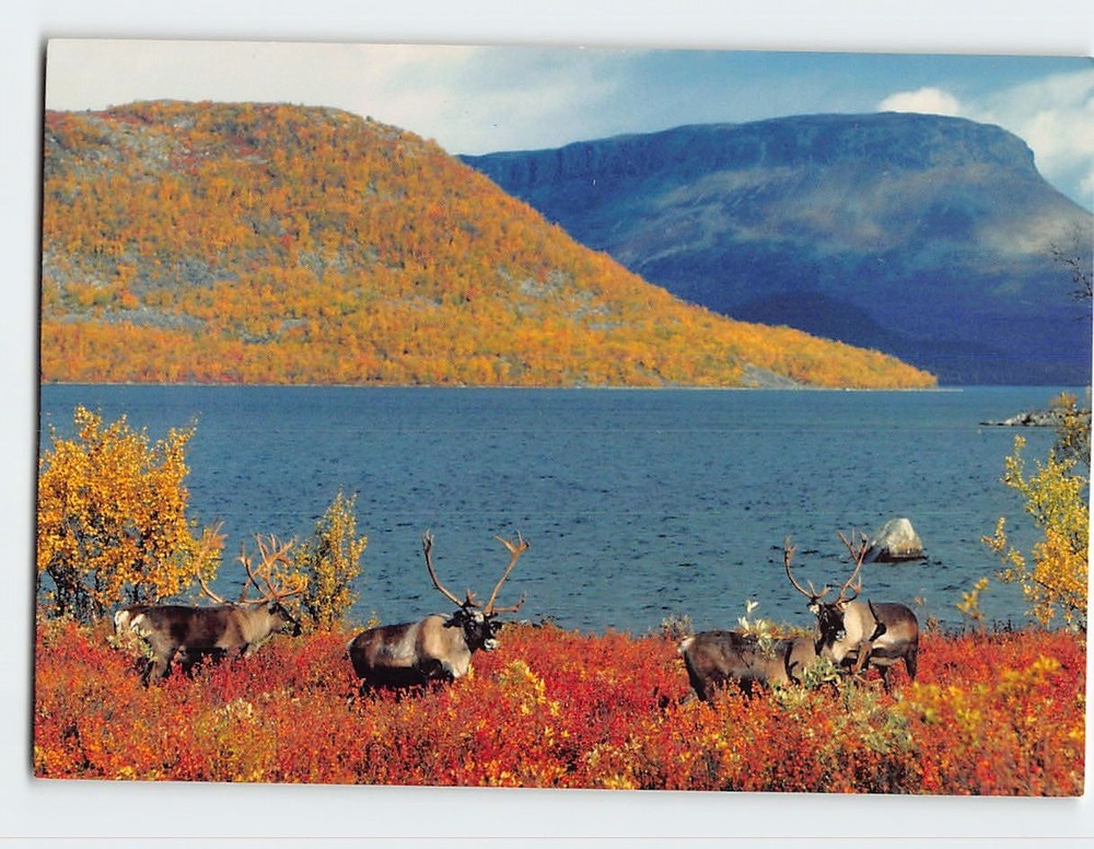 Postcard Finland