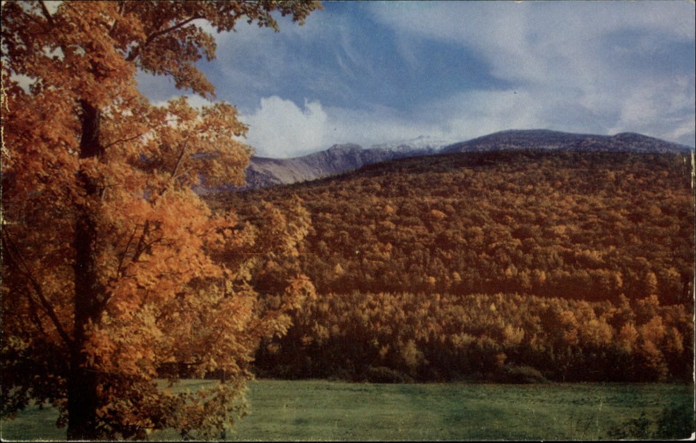 Mt Adams & King's Ravine ~ White Mountains New Hampshire fall foliage ~ postcard