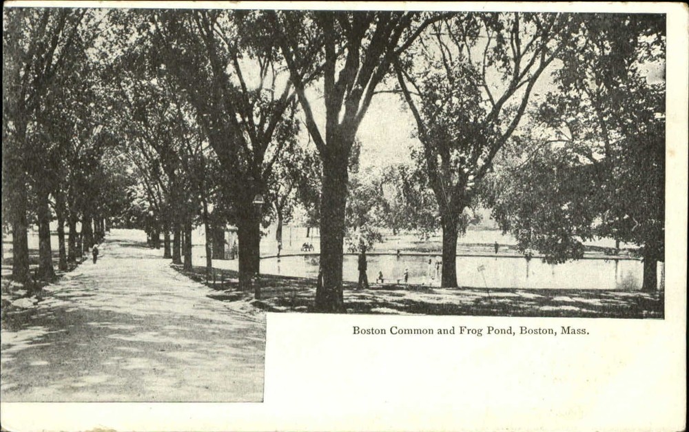 Boston Commons and Frog Pond Boston Massachusetts MA UDB c1905