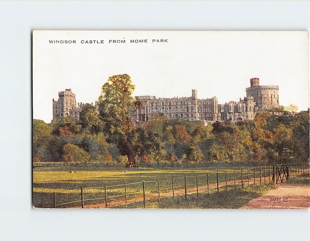 Postcard Windsor Castle From Home Park Windsor England