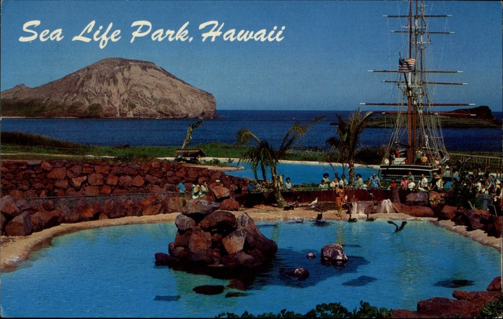Waimanalo Oahu Hawaii Leeward Isle Pool Sea Life Park unused vintage postcard