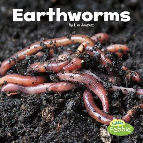 Earthworms (Little Critters) - Paperback By Amstutz, Lisa J - GOOD