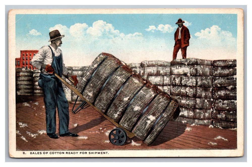 Georgia GA Bales of Cotton Ready for Shipment White Border Postcard