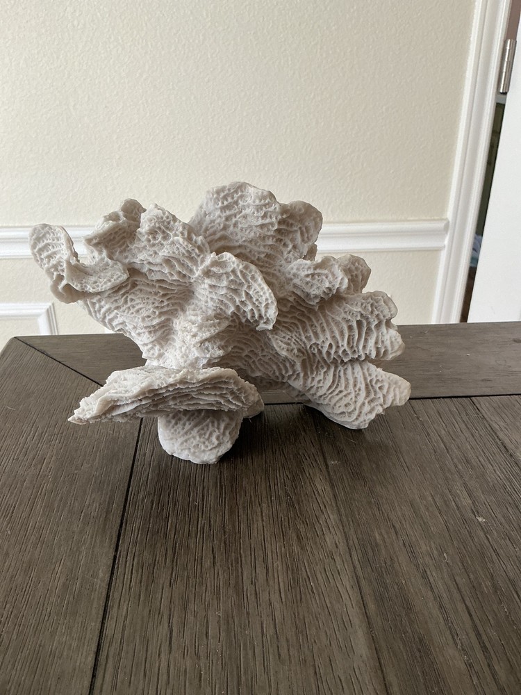 Faux White Coral Sculpture – Coastal Beach House Decor – Resin Coral Art Used