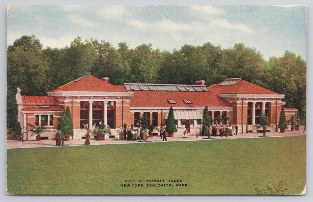 Vintage Monkey House New York Zoological Park Postcard Bronx Zoo NYC