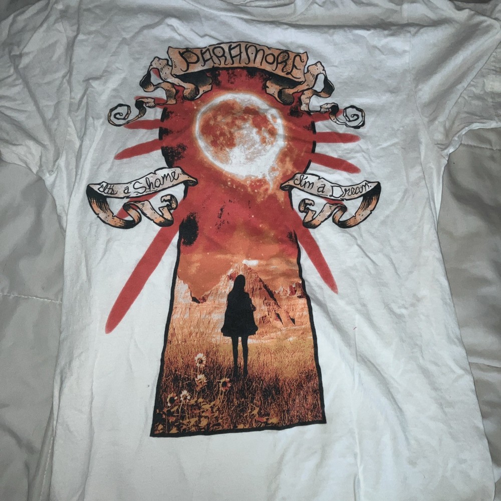Paramore All I Wanted Tee It’s A Shame I’m A Dream Lyrics T Shirt