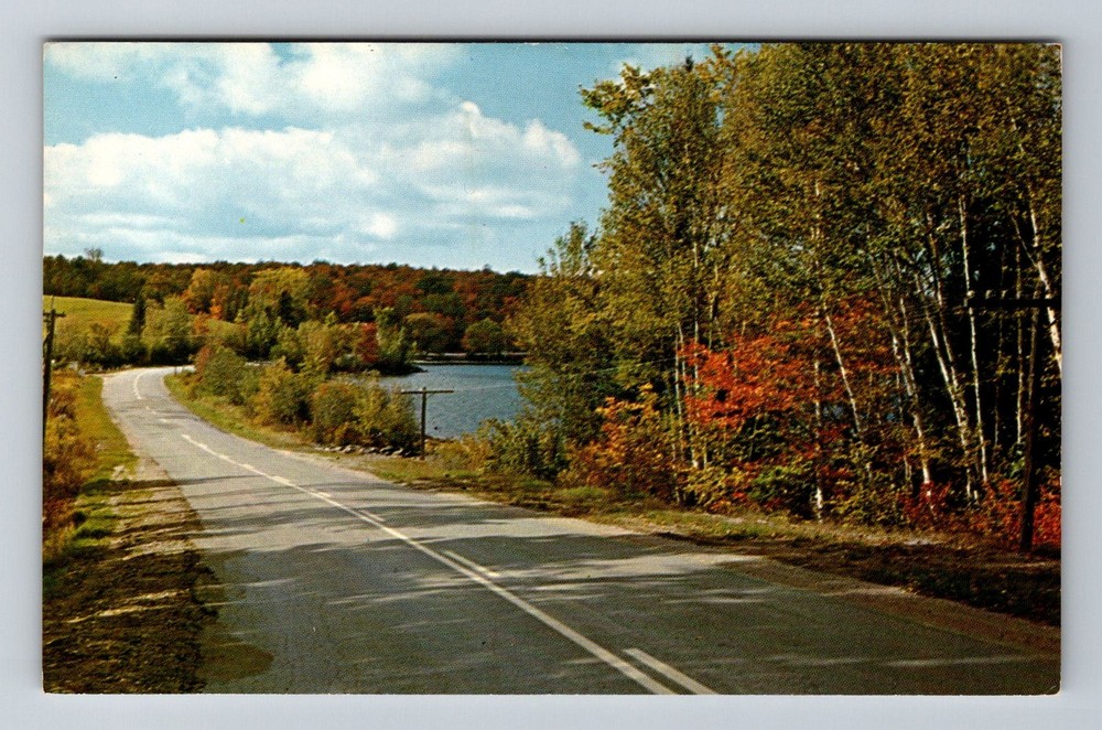 Canada- Ontario Vacationland Series Scenic Roadway & Lake View Vintage Postcard