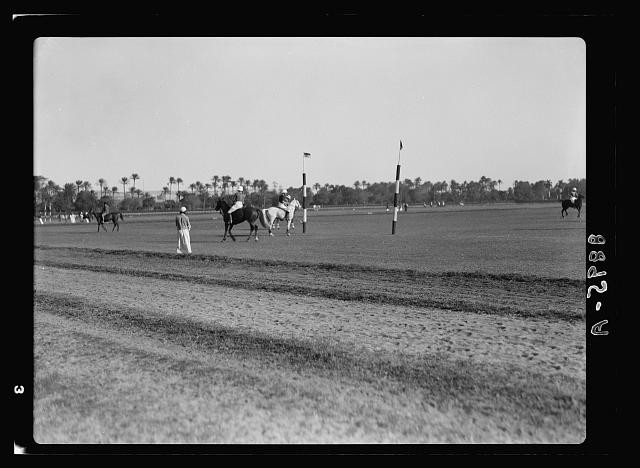 Gezira Gardens,Cairo,Egypt,American Colony Jerusalem Photo Dept,1934-1939,18