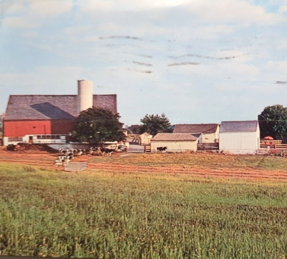 The Amish Homestead Lancaster PA Pennsylvania VTG 1971 Chrome Postcard