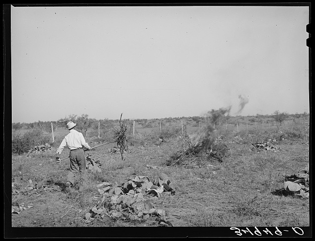 Photo:San Angelo Texas 1939 Land Clearing for Truck Farming Smoke Field