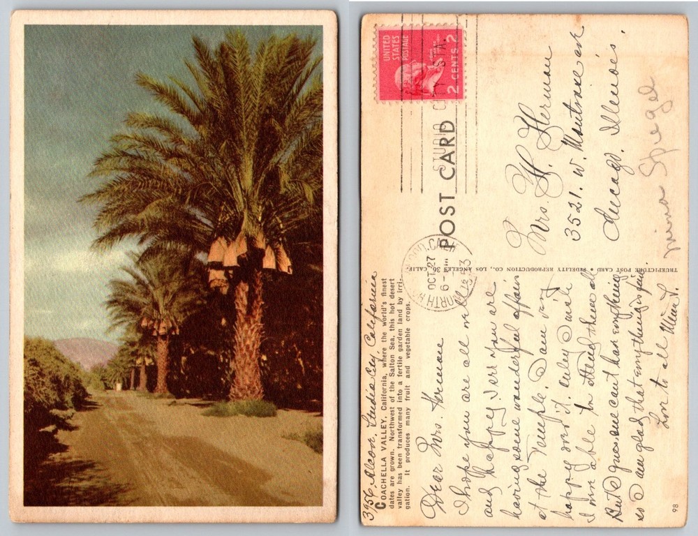 Coachella Valley Date Palm Grove Postcard 1933 North Hollywood Postmark