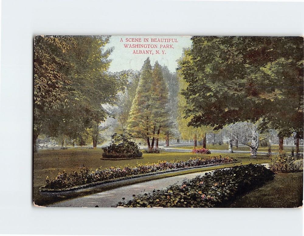 Postcard A Scene in Beautiful Washington Park Albany New York USA
