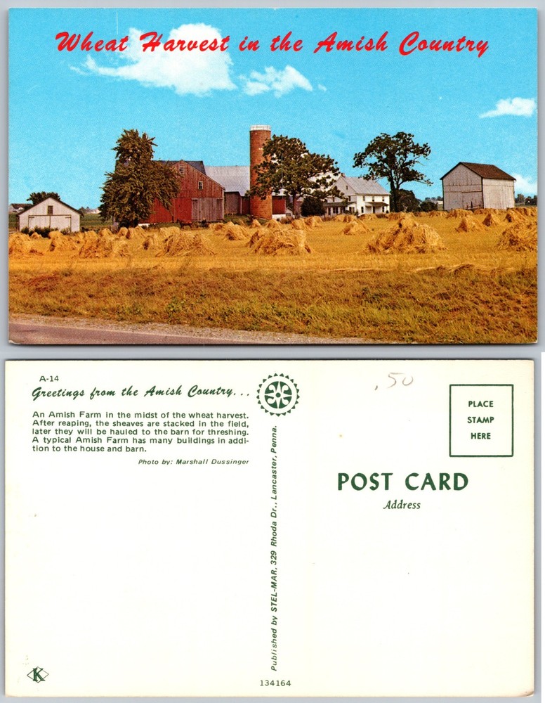Wheat Harvest Amish Country Farm Postcard