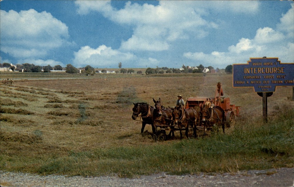 Amish Farmer Mount Joy Pennsylvania vintage postcard c968