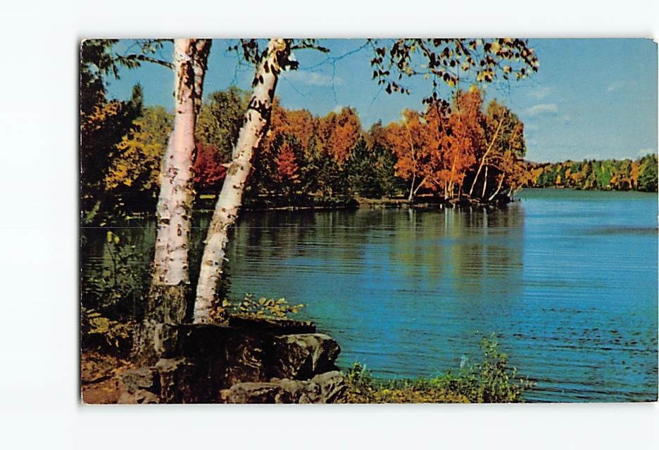 Postcard Greeting Card with Quote and Birch Tree Nature Lake Landscape Scenery
