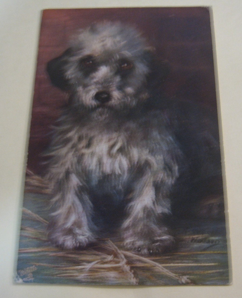 Antique Oilette Raphael Tuck Postcard Cute Dog Americana