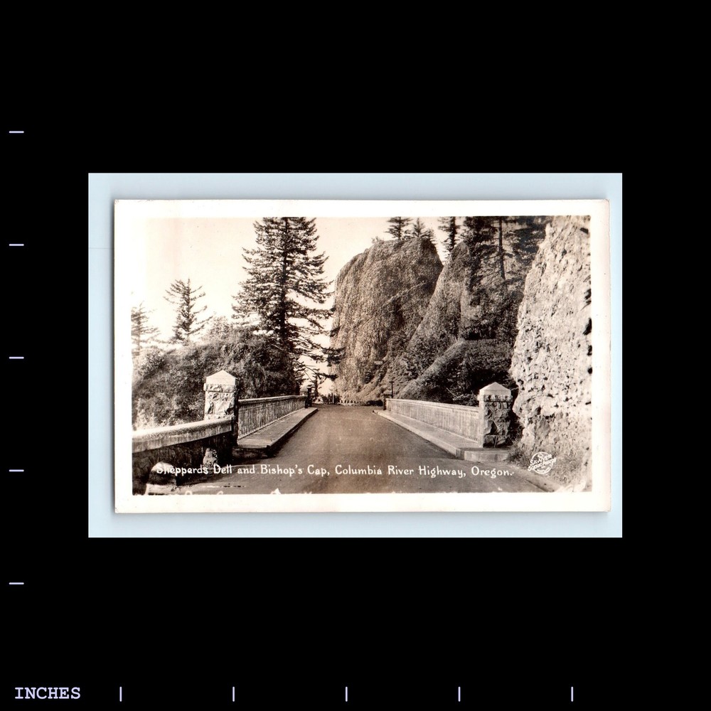 Old Vintage Photo BISHOP'S COLUMBIA RIVER OREGON HIGHWAY LANDSCAPE