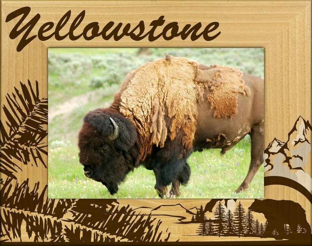 Yellowstone National Park With Bear Silhouette Laser Engraved Frame (4 x 6)