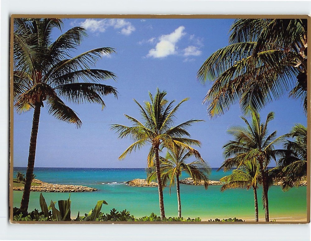 Postcard Beach Nature Scene