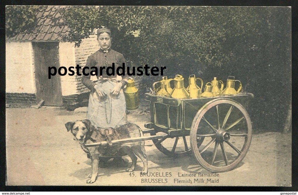 BELGIUM Brussels 1910s Flemish Milk Maid. Dog Cart. Attelage du Chien