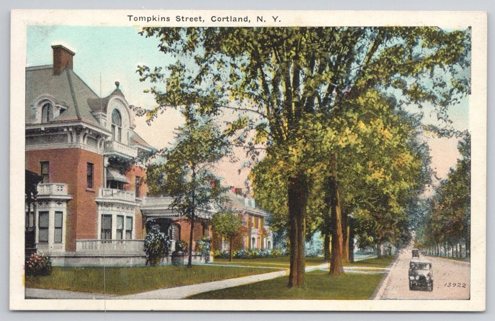 Tompkins Street Cortland NY Vintage Postcard Tree Lined Homes Wm. Jubb Co.