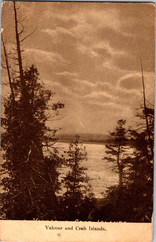 Plattsburgh New York NY : PANORAMIC SCENE m/14 AV8947