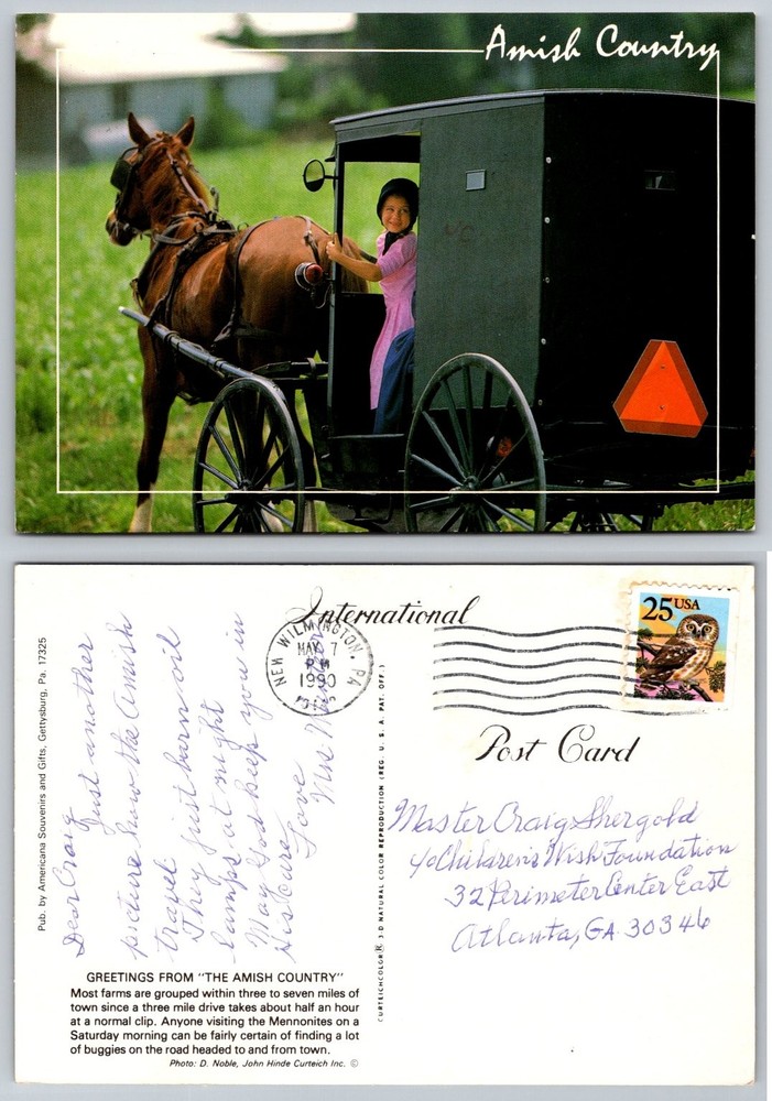 Vintage 1990 Amish Country Postcard - Horse & Buggy, PA Chrome Photo