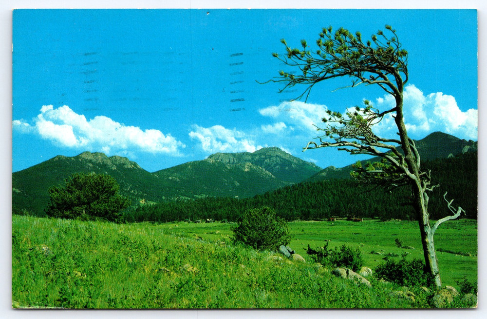 Vintage Photo Postcard Twin Sisters Peaks Mountains Green Landscape Colorado Usa