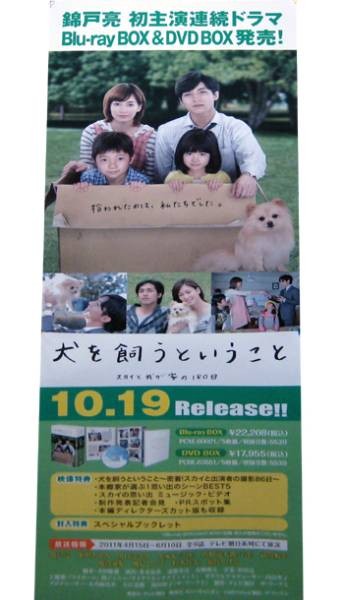 Owning Dog Our Home Days DVD Ryoishikido Kanjani Eight V4