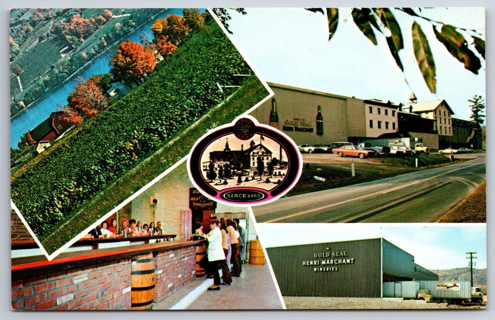 Hammondsport New York~Main Bldg Multi-View Of Gold Seal Vineyards~Vtg Postcard